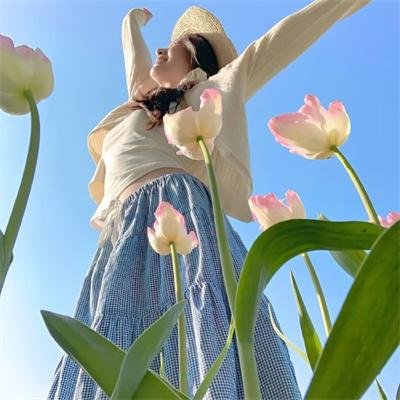 谍杀风暴海报